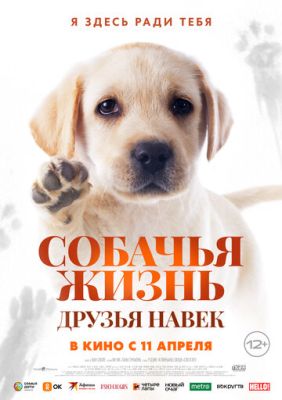 Собачья жизнь Друзья навек (2023) скачать торрент HD