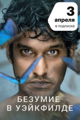 Безумие в Уэйкфилде (2021) скачать торрент HD