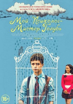 Мой психолог Мистер Голубь (2021) скачать торрент HD