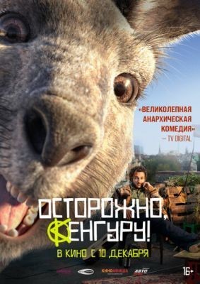 Осторожно, Кенгуру! (2020) скачать торрент HD