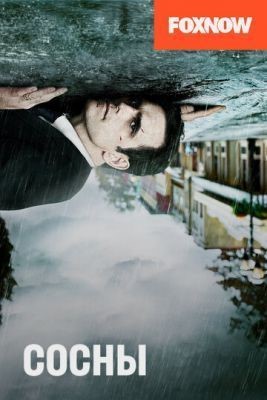 Сосны (2016) 2 сезон скачать торрент HD