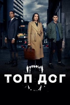 Топ дог (2020) скачать торрент HD